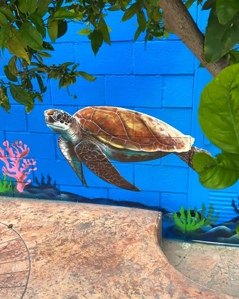pintura-mural-decorativa-piscina-patios-y-jardines-tortuga-de-mar